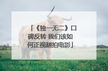 《独一无二》口碑反转 我们该如何正视翻拍电影