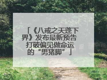 《八戒之天蓬下界》发布最新预告 打破偏见做命运的“男猪脚”