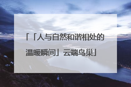 「人与自然和谐相处的温暖瞬间」云端鸟巢