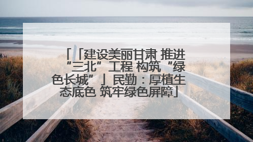「建设美丽甘肃 推进“三北”工程 构筑“绿色长城”」民勤：厚植生态底色 筑牢绿色屏障