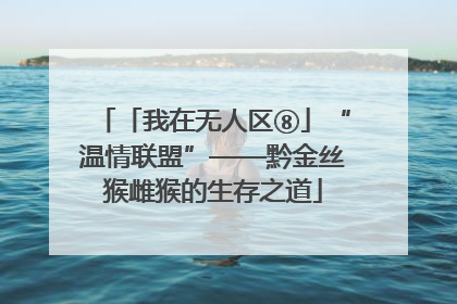 「我在无人区⑧」“温情联盟”——黔金丝猴雌猴的生存之道