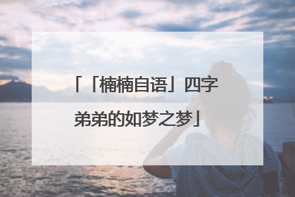 「楠楠自语」四字弟弟的如梦之梦