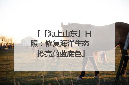 「海上山东」日照：修复海洋生态 擦亮蔚蓝底色