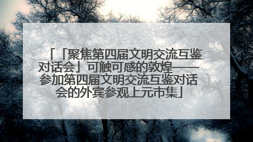 「聚焦第四届文明交流互鉴对话会」可触可感的敦煌——参加第四届文明交流互鉴对话会的外宾参观上元市集
