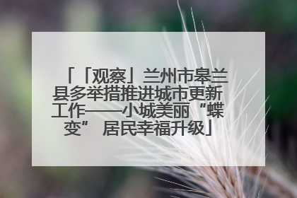 「观察」兰州市皋兰县多举措推进城市更新工作——小城美丽“蝶变” 居民幸福升级