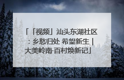 「视频」汕头东湖社区：乡愁归处 希望新生｜大美岭南·百村焕新记