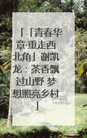 「青春华章·重走西北角」谢凯龙：茶香飘过山野 梦想照亮乡村
