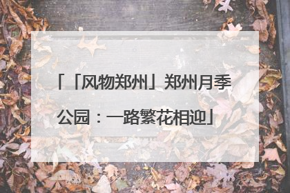 「风物郑州」郑州月季公园：一路繁花相迎