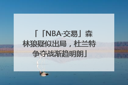 「NBA·交易」森林狼疑似出局，杜兰特争夺战渐趋明朗