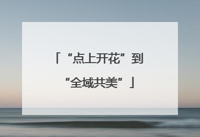 “点上开花”到“全域共美”
