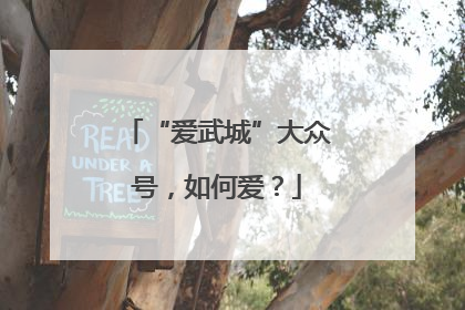 “爱武城”大众号，如何爱？