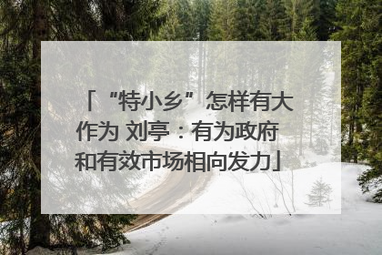 “特小乡”怎样有大作为 刘亭：有为政府和有效市场相向发力