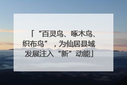 “百灵鸟、啄木鸟、织布鸟”，为仙居县域发展注入“新”动能