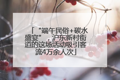 “端午民俗+碳水盛宴”，沪东新村街道的这场活动吸引客流4万余人次
