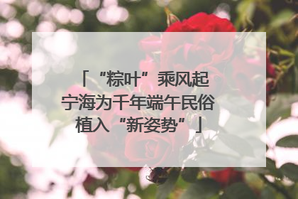 “粽叶”乘风起 宁海为千年端午民俗植入“新姿势”