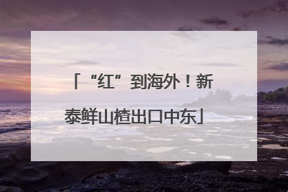 “红”到海外！新泰鲜山楂出口中东