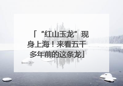 “红山玉龙”现身上海！来看五千多年前的这条龙