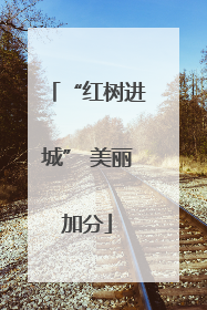 “红树进城” 美丽加分