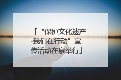 “保护文化遗产·我们在行动”宣传活动在泉举行
