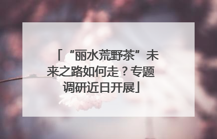 “丽水荒野茶”未来之路如何走？专题调研近日开展