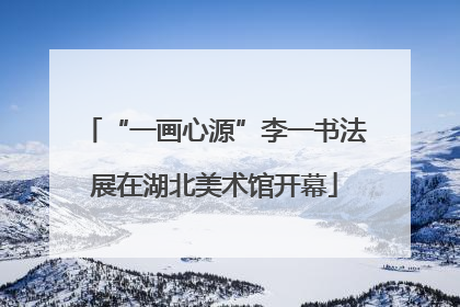 “一画心源”李一书法展在湖北美术馆开幕