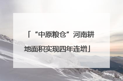 “中原粮仓”河南耕地面积实现四年连增