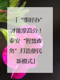 “事好办”才能拿高分！泰安“智慧政务”打造便民新模式