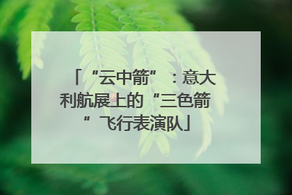 “云中箭”：意大利航展上的“三色箭”飞行表演队