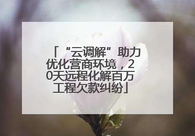 “云调解”助力优化营商环境，20天远程化解百万工程欠款纠纷