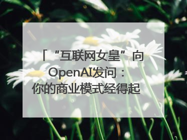 “互联网女皇”向OpenAI发问：你的商业模式经得起价格战考验么？