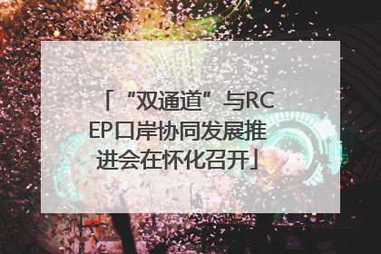 “双通道”与RCEP口岸协同发展推进会在怀化召开