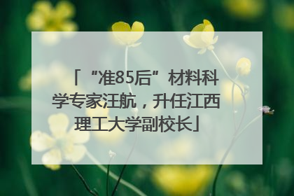 “准85后”材料科学专家汪航，升任江西理工大学副校长