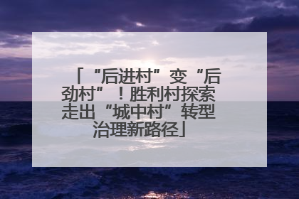 “后进村”变“后劲村”！胜利村探索走出“城中村”转型治理新路径