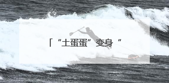 “土蛋蛋”变身“金疙瘩”：孙伯镇西程村土豆丰收记