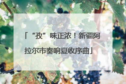 “孜”味正浓！新疆阿拉尔市奏响夏收序曲