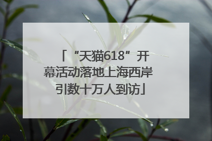 “天猫618”开幕活动落地上海西岸 引数十万人到访