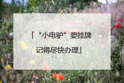 “小电驴”要挂牌 记得尽快办理