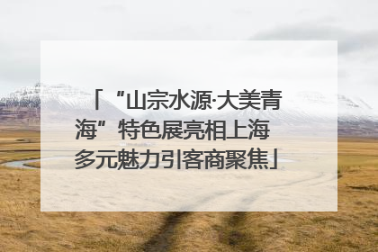 “山宗水源·大美青海”特色展亮相上海 多元魅力引客商聚焦