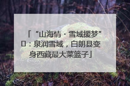 “山海情・雪域援梦”⑪：泉润雪域，白朗县变身西藏最大菜篮子