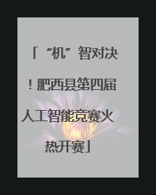 “机”智对决！肥西县第四届人工智能竞赛火热开赛