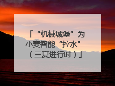 “机械城堡”为小麦智能“控水”（三夏进行时）