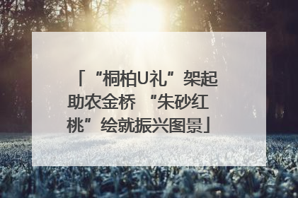 “桐柏U礼”架起助农金桥 “朱砂红桃”绘就振兴图景