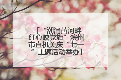 “潮涌黄河畔 红心映党旗”滨州市直机关庆“七一”主题活动举办