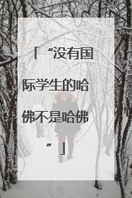“没有国际学生的哈佛不是哈佛”