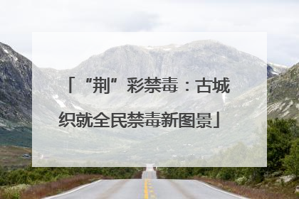 “荆”彩禁毒：古城织就全民禁毒新图景
