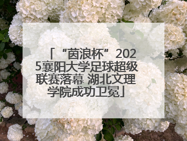 “茵浪杯”2025襄阳大学足球超级联赛落幕 湖北文理学院成功卫冕