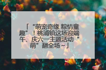 “萌宠奇缘 粽情童趣”！桃浦镇这场迎端午、庆六一主题活动“萌”翻全场～