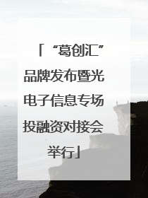 “葛创汇”品牌发布暨光电子信息专场投融资对接会举行