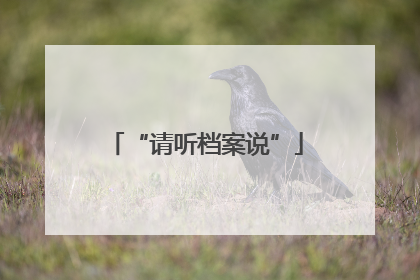 “请听档案说”