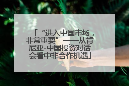 “进入中国市场，非常重要”——从肯尼亚-中国投资对话会看中非合作机遇